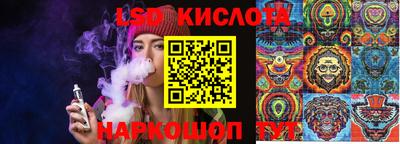 дмт Дубна