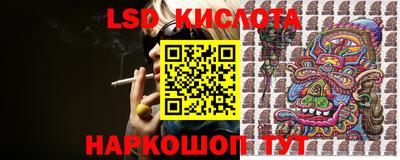 кокс Донской
