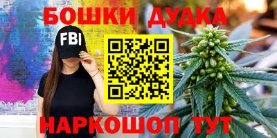 дмт Дубна